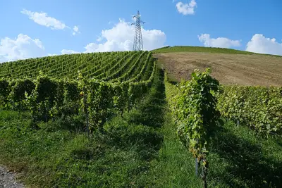 Street view of Countryside, the area around Bois de Versoix loop